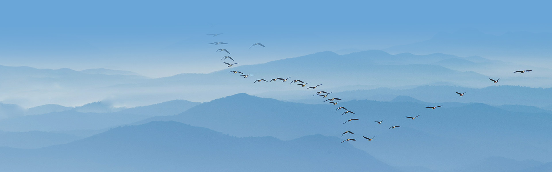 油庫、儲罐工程